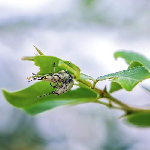 Photo #7720917