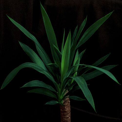 Photo #7721002