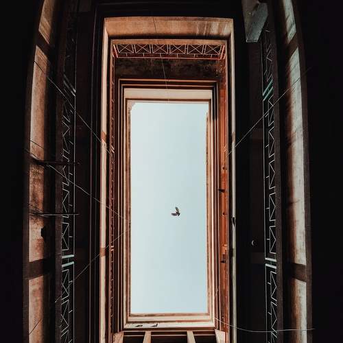 Photo #7721083
