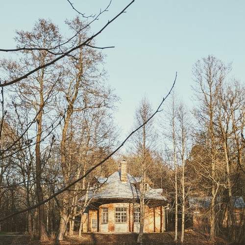 Photo #7721294