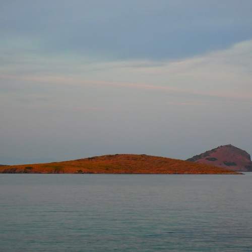 Photo #7721304
