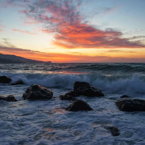 Photo #7721612