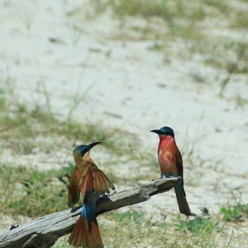 Photo #7721907