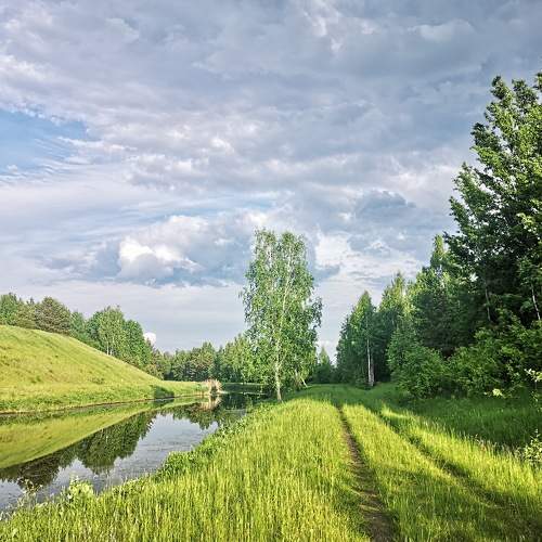 Photo #7721912