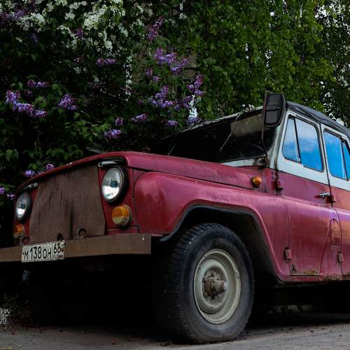 Photo #7721999