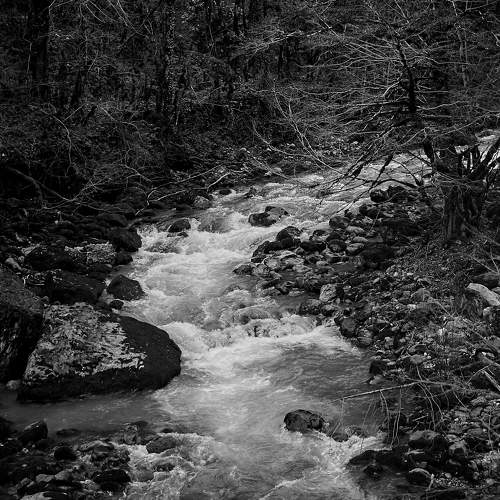 Photo #7722062