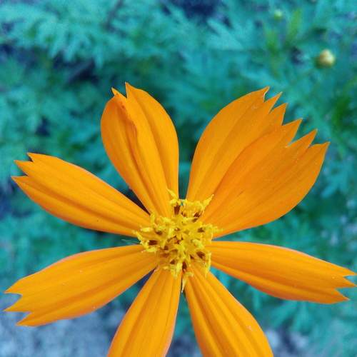 Photo #7722073