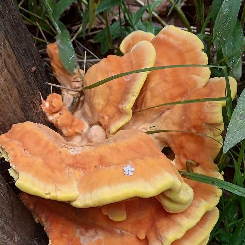 Photo #7722136