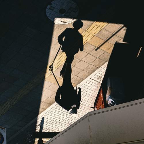 Photo #7722242