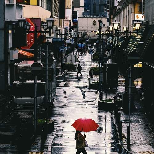 Photo #7722262