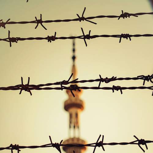 Photo #7722471