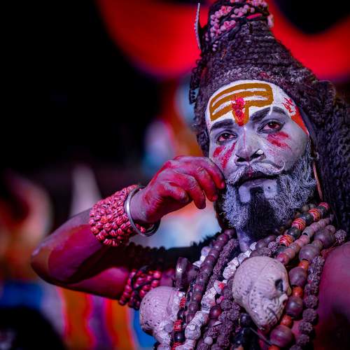 Photo #7722572
