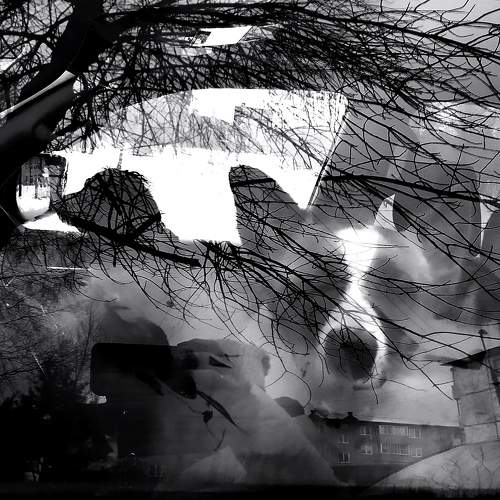 Photo #7722714