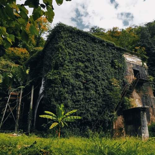 Photo #7722796