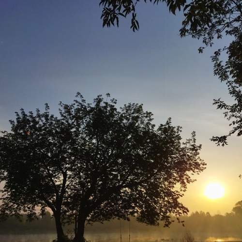 Photo #7722806