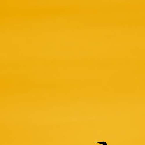 Photo #7723091