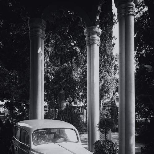 Photo #7723968
