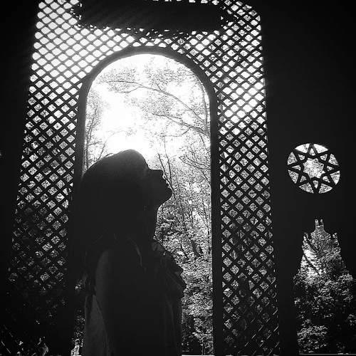 Photo #7724144