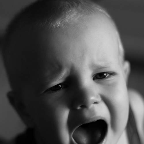 Photo #7724576