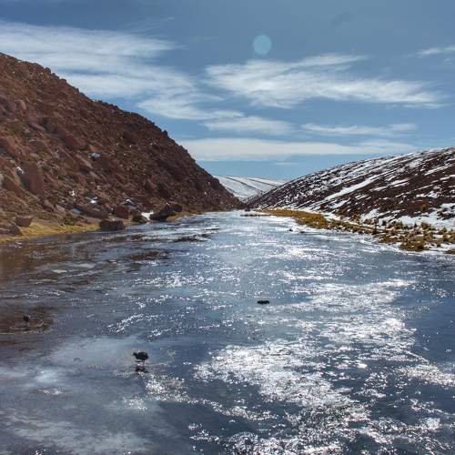 Photo #7725510