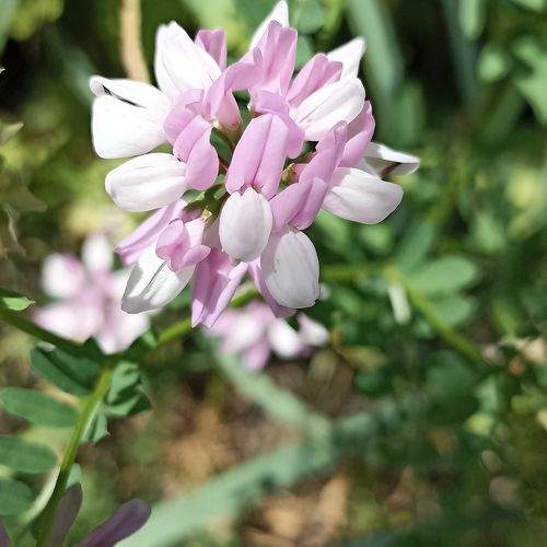 Photo #7725605