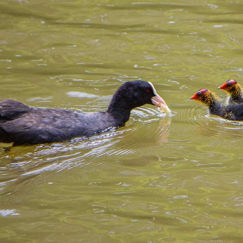 Photo #7725761