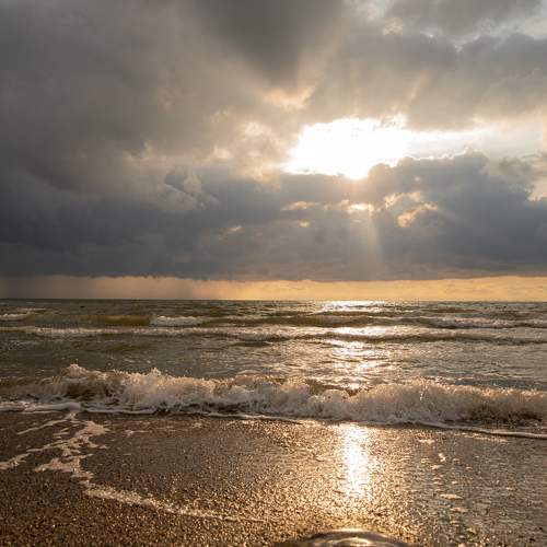 Photo #7725984