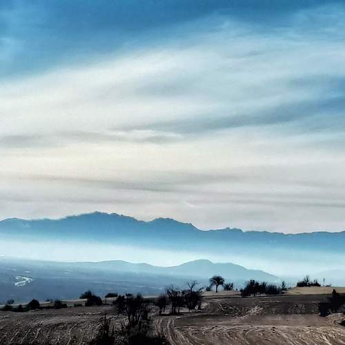 Photo #7726024