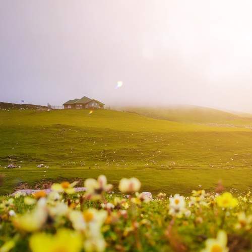 Photo #7726089