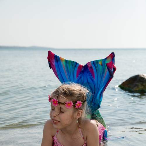 Photo #7726165