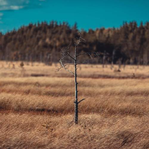 Photo #7726249