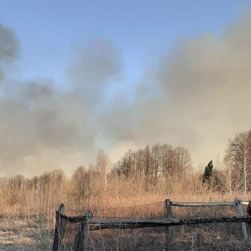 Photo #7726535