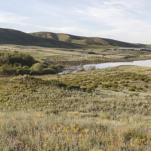 Photo #7726547
