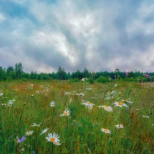 Фотография #7726704