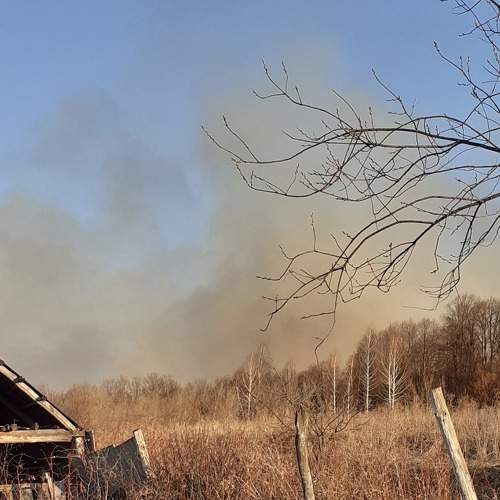 Photo #7726754