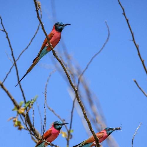 Photo #7726834