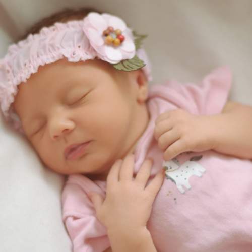 Photo #7726923