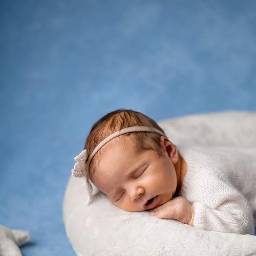 Photo #7726959