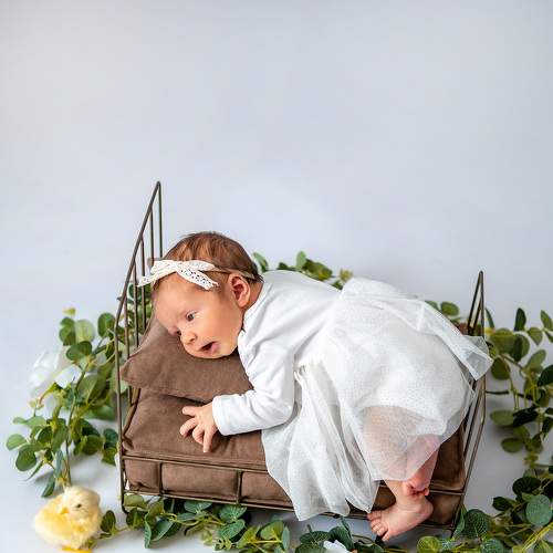 Photo #7726964