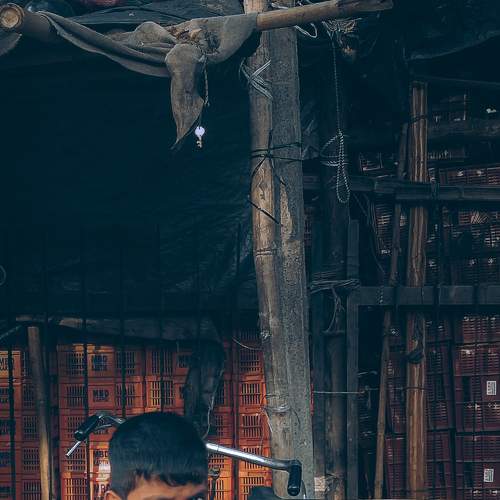 Photo #7727318
