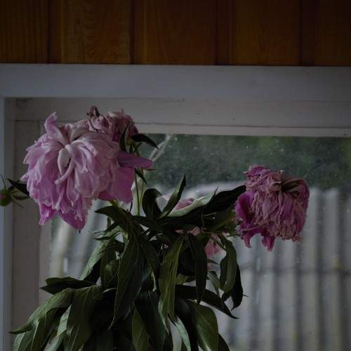 Photo #7727342