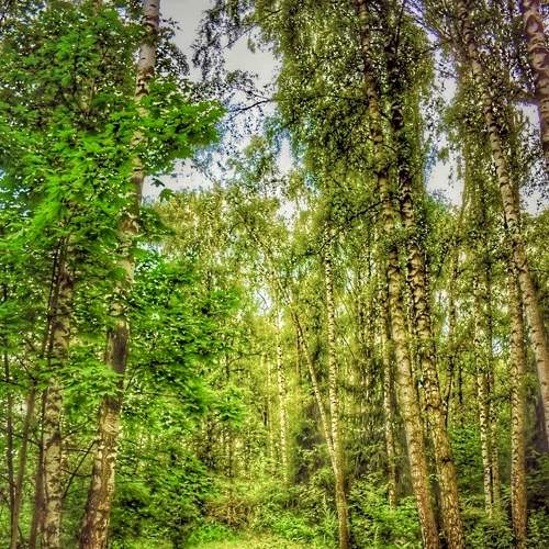 Photo #7727469