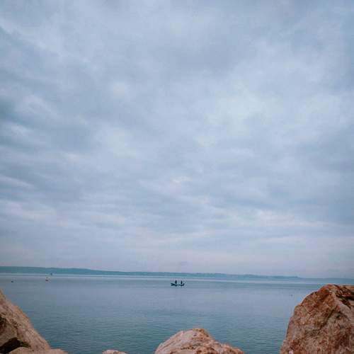 Photo #7727684