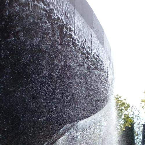 Photo #7727845