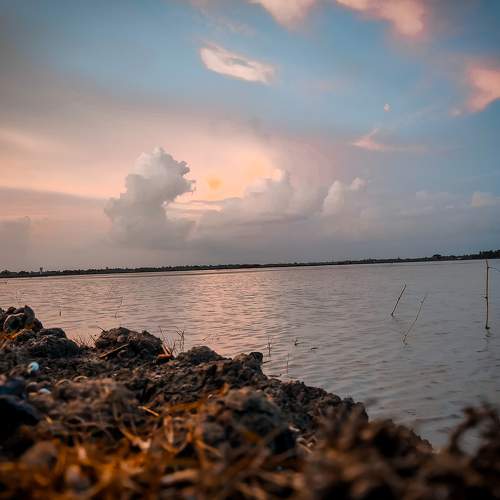 Photo #7727897