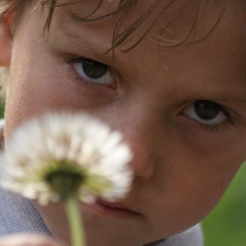 Photo #7728278