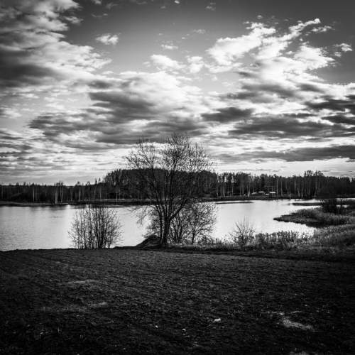 Photo #7728282