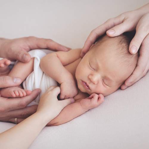 Photo #7728317