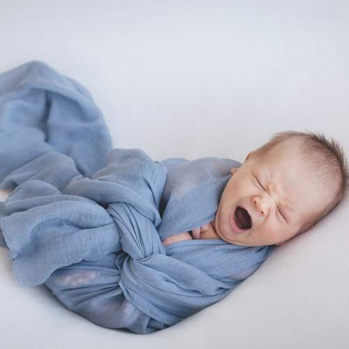 Photo #7728323