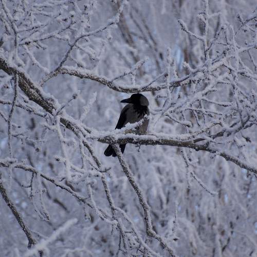 Photo #7728351